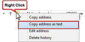 Copy address as text