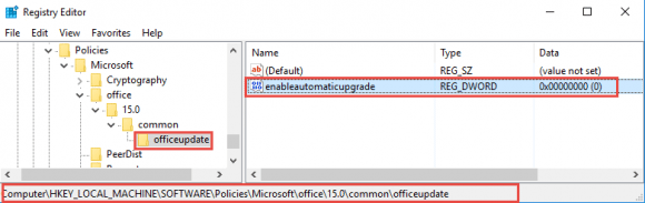 registry to disable automatic upgrades